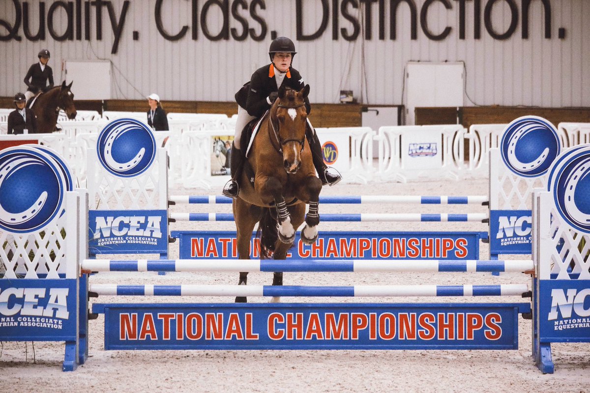 OSUEquestrian's tweet photo. Half time frames 📸

#RoadToOcala | #GoPokes https://t.co/wNWdD4cIdw