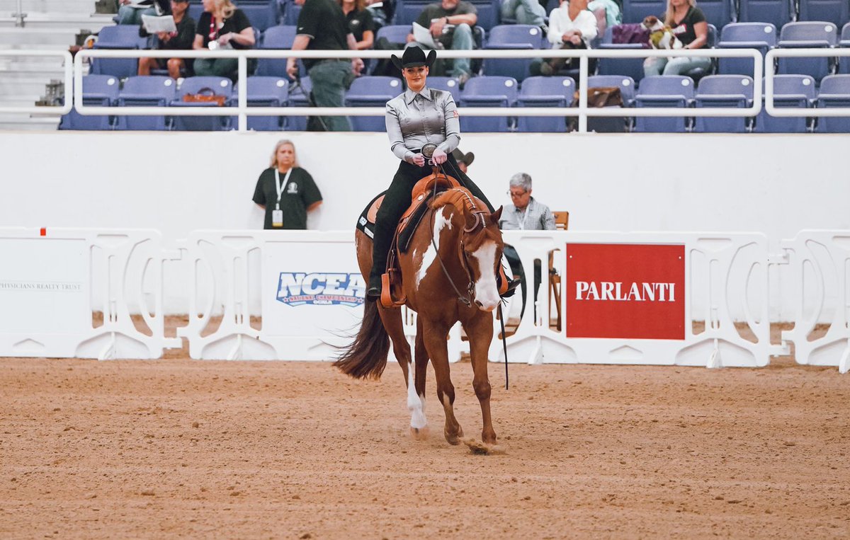 OSUEquestrian's tweet photo. Half time frames 📸

#RoadToOcala | #GoPokes https://t.co/wNWdD4cIdw