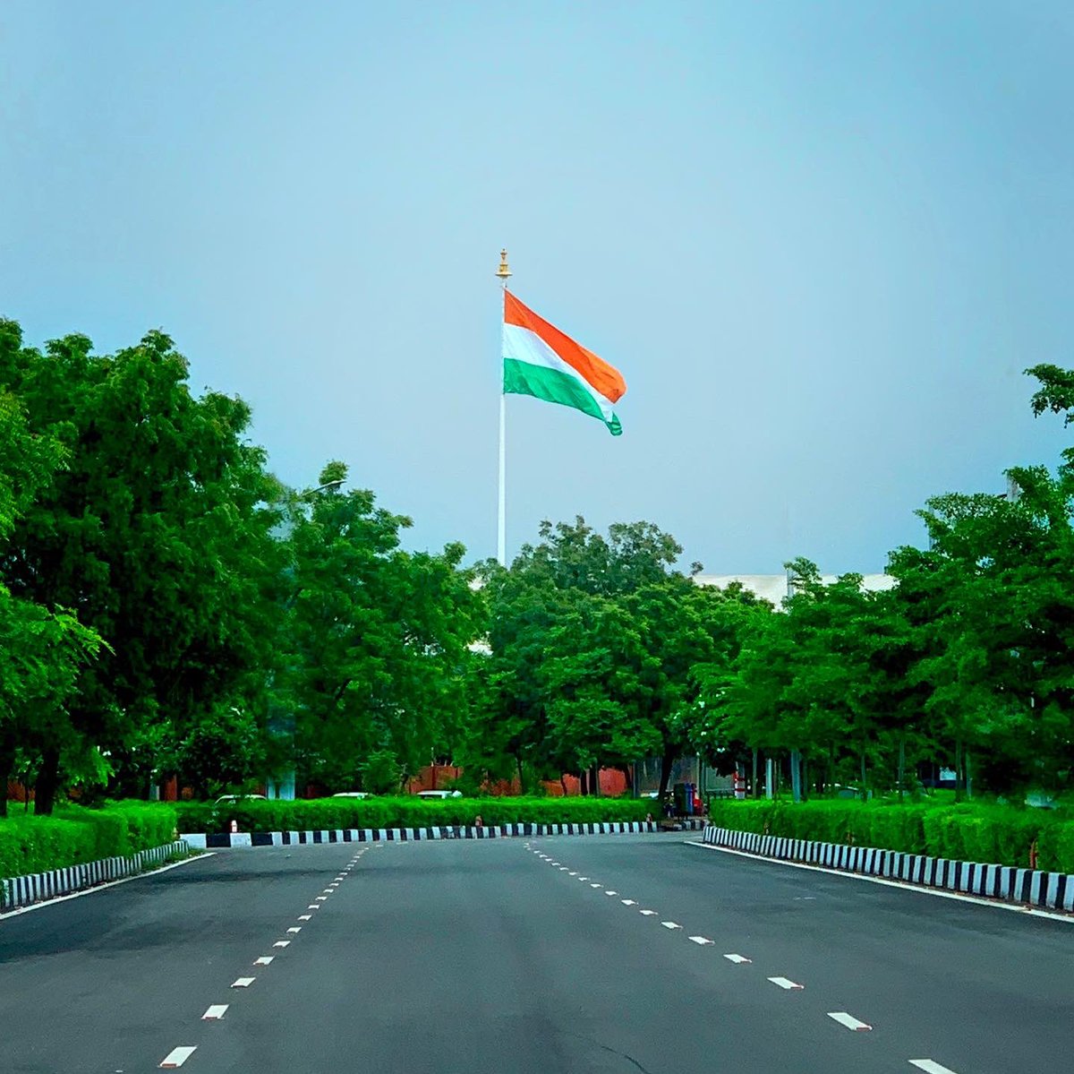 Ninavirkit's tweet photo. Happy Vaisakhi! 🇮🇳
Here’s to new beginnings. 🌳🌸 
God bless those of us in need. 🙏🏽 #vaisakhi #baisakhi #india https://t.co/6AHUBLeNTF