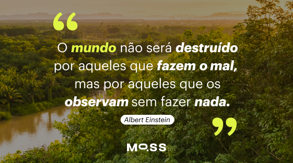 Moss Brasil tweet media