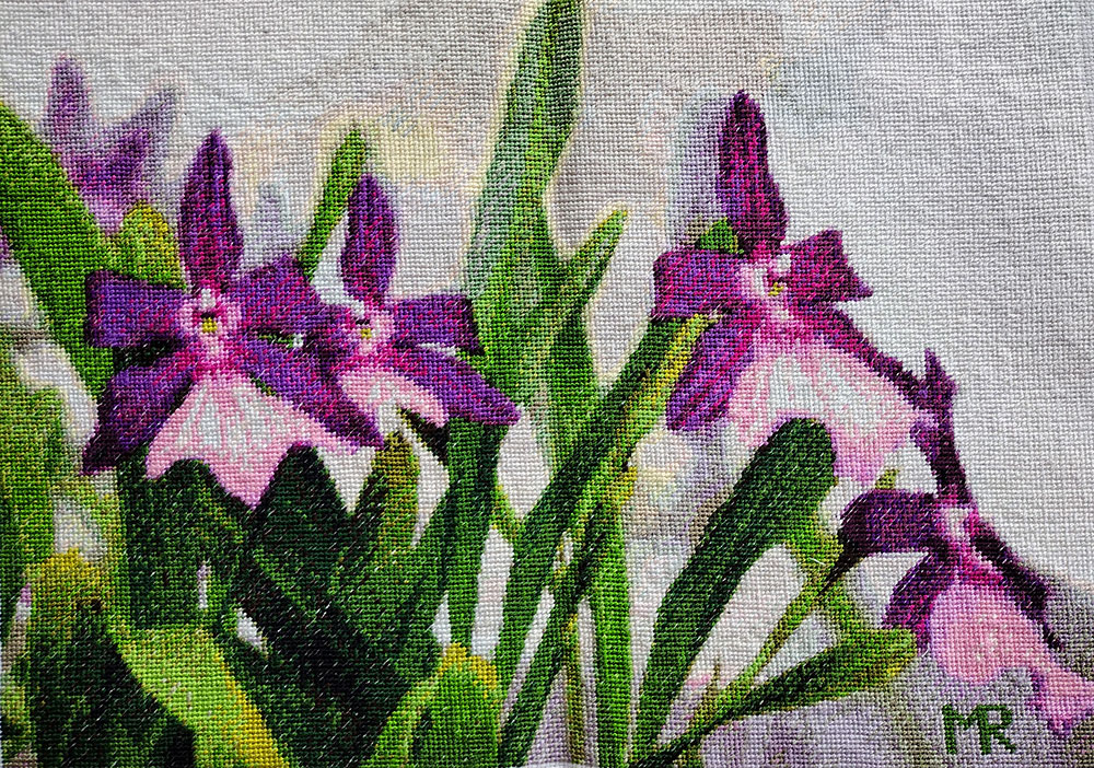toptropicals's tweet photo. Easter present for #TopTropicals, #Miltonia spectabilis moreliana, hand-crafted cross-stitch embroidery by our Editor Marina Rybka, the original photo by Oksana Rybka (Ukraine) taken in Prague Botanical Garden.
https://t.co/nmeuZMjfiw
#Easterpresent
#orchids
#ThursdayThoughts https://t.co/GiQ2K90pC1