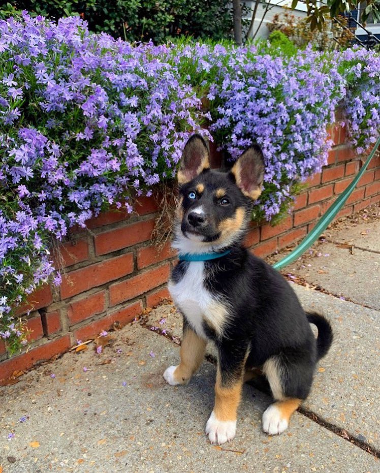 kathrynw5's tweet photo. #FindPablo https://t.co/GYqGjslbDR