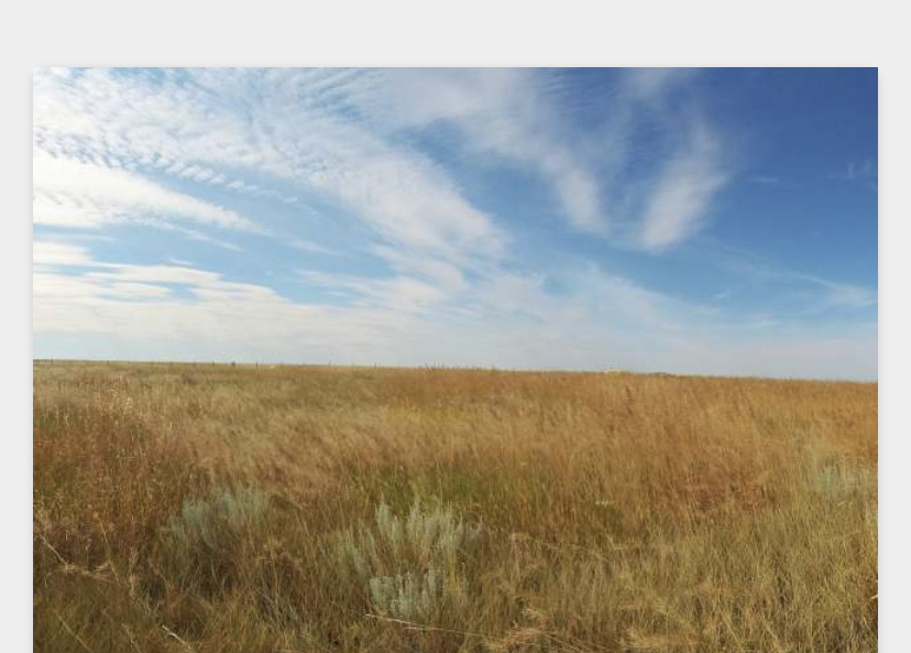 AlbertaTomorrow's tweet photo. Guess the natural region! Did you know we have 6 #360Virtual Ecoregion Tours on https://t.co/UuXIXCjN4j #landuse #abwater #abed #abteachers #virtualtours https://t.co/Ho1JGoJKHv