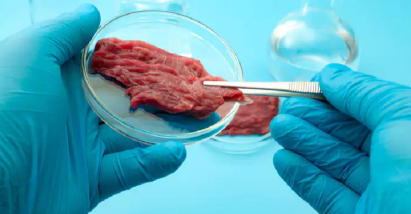 stkhfoods's tweet photo. Thanks FXempire for including MeaTech in your article, “4 Stocks Outperforming Future-of-Food Indexes,” on emerging trends in the food sector and highlighting our go-to-market plans.