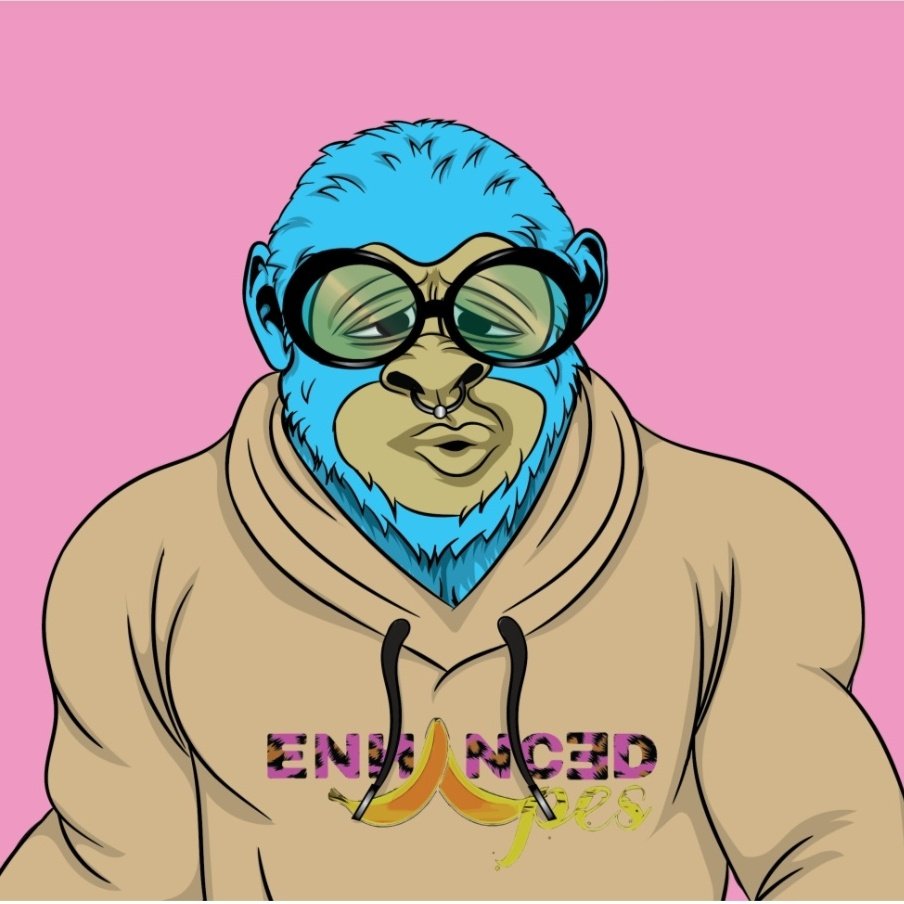 DEAL615's tweet photo. Where's all the hoodies at??!!
@SafeMoonAce @SafeMoonShrimp @REAPER2021cary #EnhancedToken #EnhanceNFTMarketplace #EnhancedApes https://t.co/p042mFrWCp https://t.co/hv8tzcmOgm