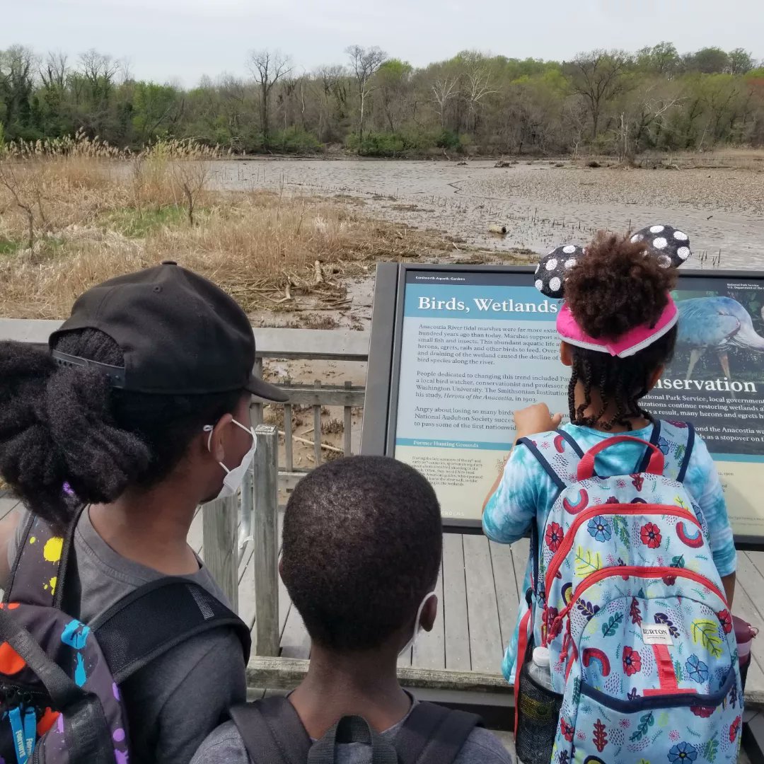 UrbanAdvSquad's tweet image. Name those tracks!

#JuniorRangerAdventureSquad students explored the tidal marsh and studied a beaver lodge and their footprints. 
@KenAqGardens