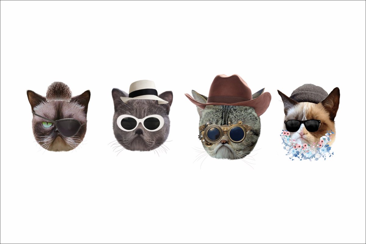 WhyCircusMircus's tweet image. Kitten Mitten