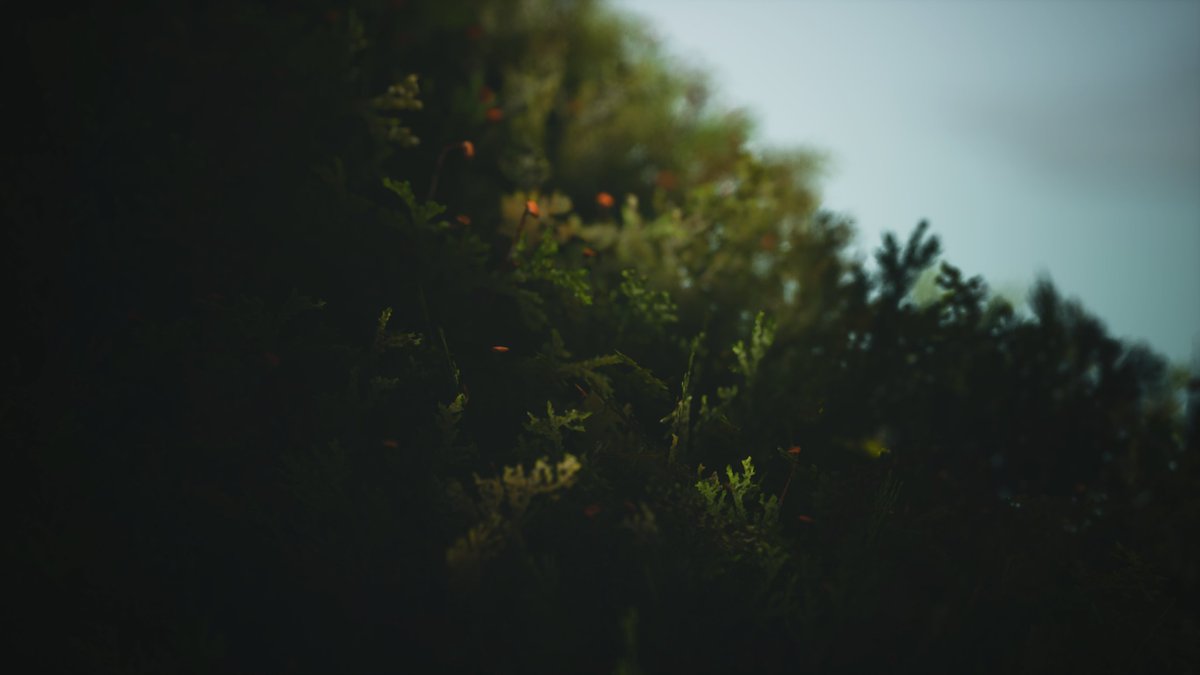 #WIP Worked on pre-production of #vegetation assets <a href="/BuasGames/">BUasGames</a> . Inspired by #HorizonForbiddenWest and the cloud forests of Honduras🌱☁️

#gameart #gamedev #UnrealEngine #3dart