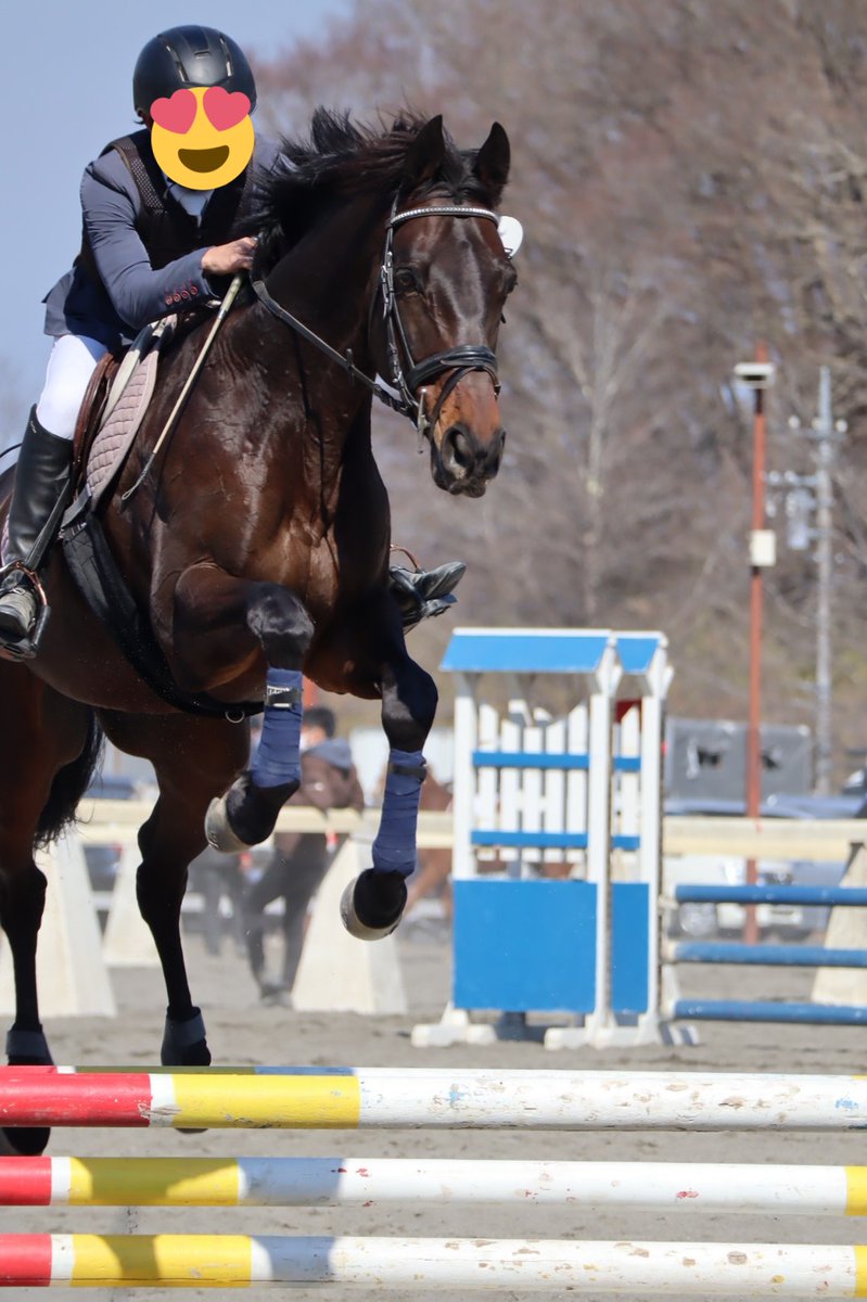 『東都学生馬術大会2022』
4/15の結果をお知らせします!
『新人障害飛越競技(100cm)』(16人)
8位
#ターゲリート🐴
タイム63.27 総減点0
『一般障害飛越競技(110cm)』(14人)
4位 入賞🎉
#ビリーヴマイン🐴
タイム60.43 総減点0
8位
#カナメ🐴
タイム62.46 総減点0
#麻布大学
#麻布大学馬術部