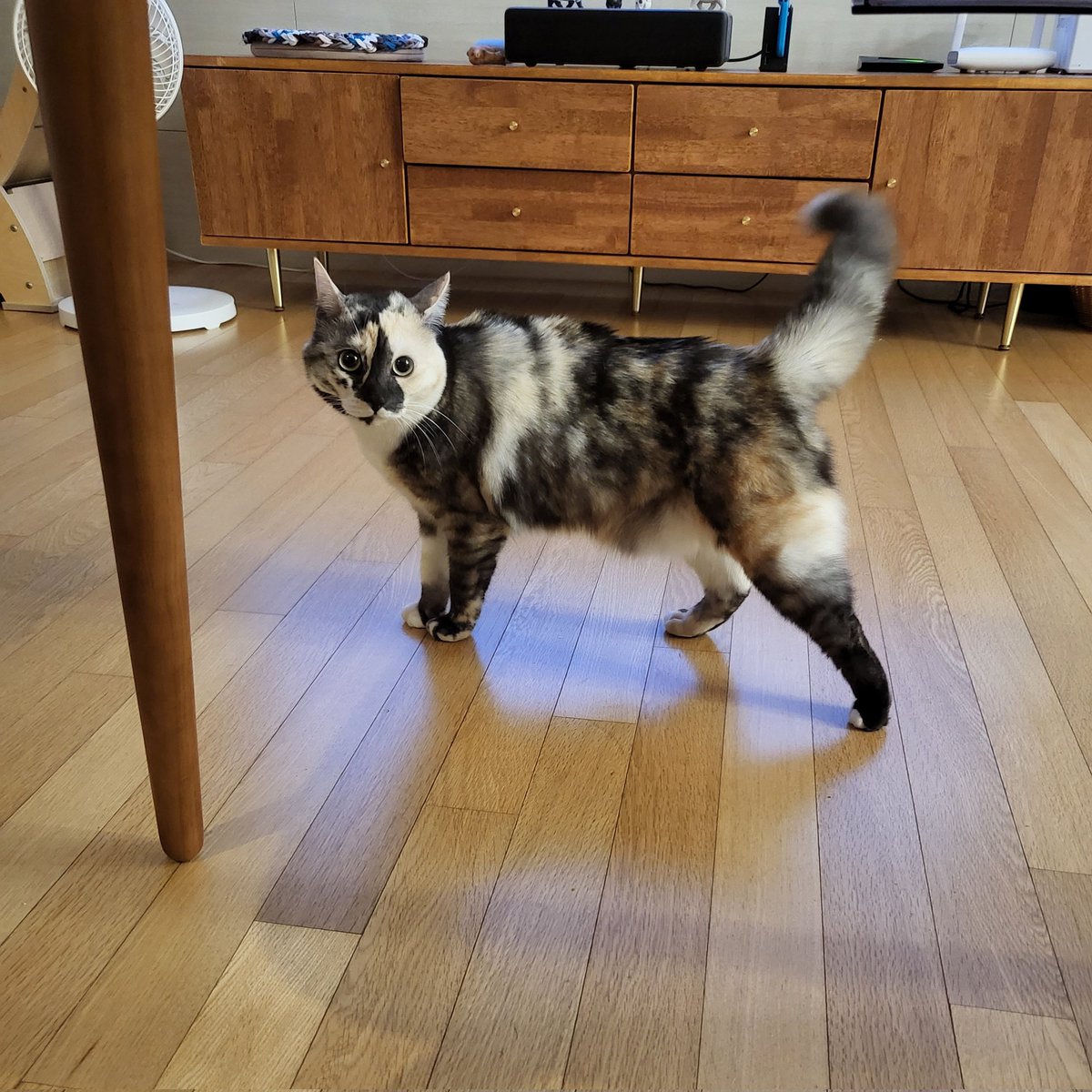 아랫집에서 뛰쳐올라오겄어~~