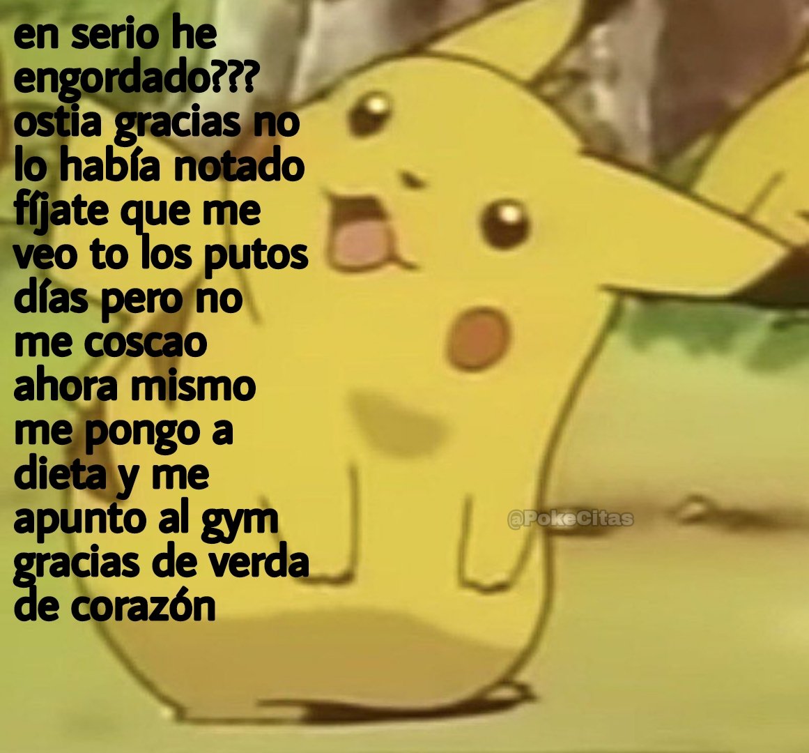 Memes Pokémon tweet media