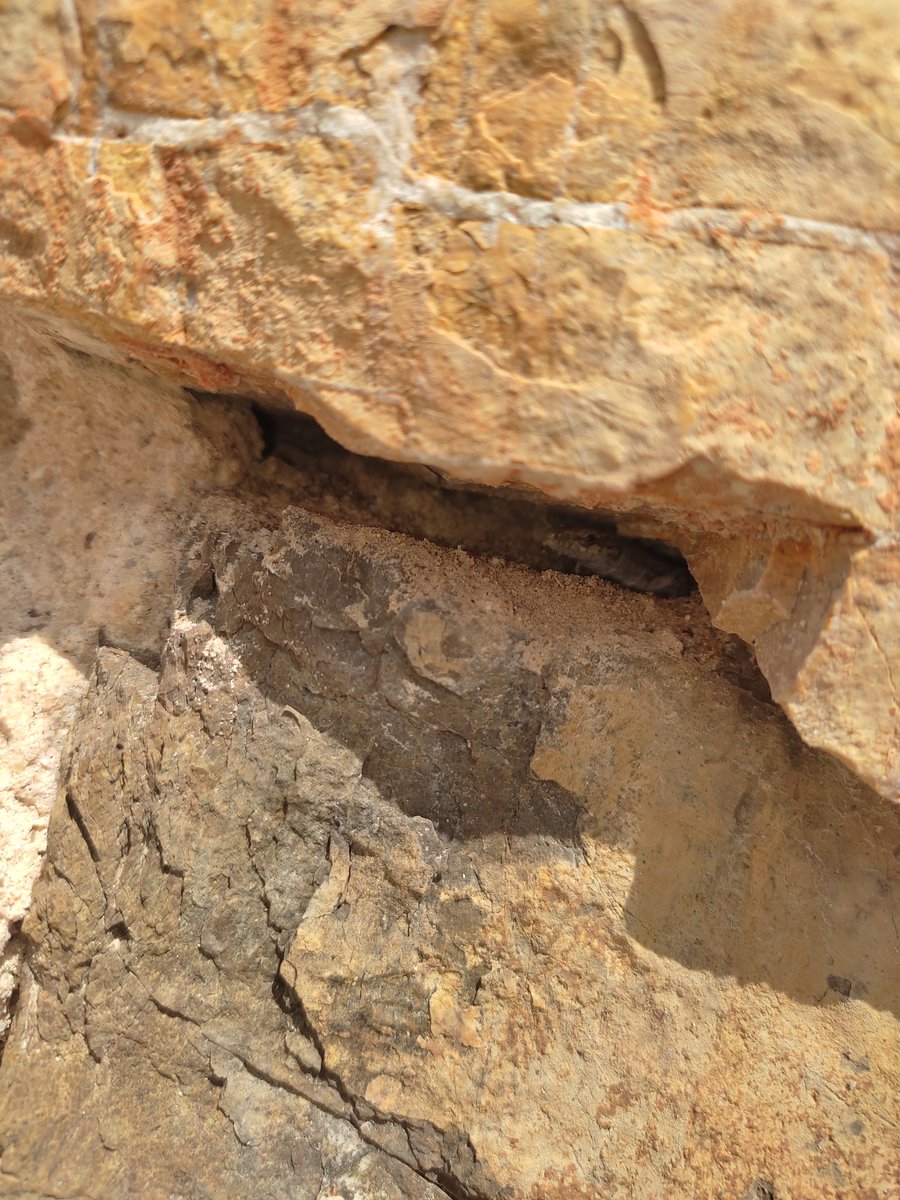 Va a ser verdad que en los pueblos las paredes tienen ojos