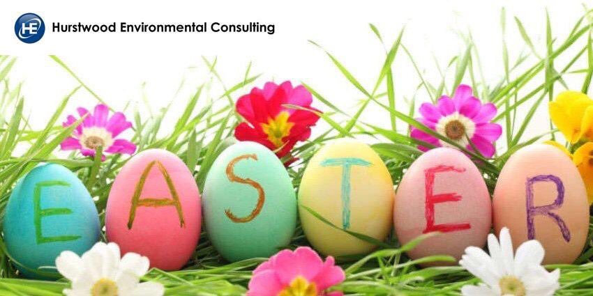 hec_consulting's tweet photo. Happy Easter from all at @hec_consulting https://t.co/6eqV0H3SLI