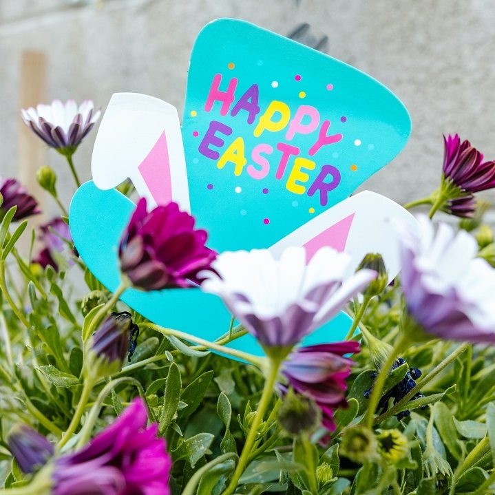KeyPrinciples's tweet image. To all our wonderful clients, partners, suppliers and network, wishing you a Happy Easter from the Key Principles team😀
#Easter #Happy #KeyPrinciples