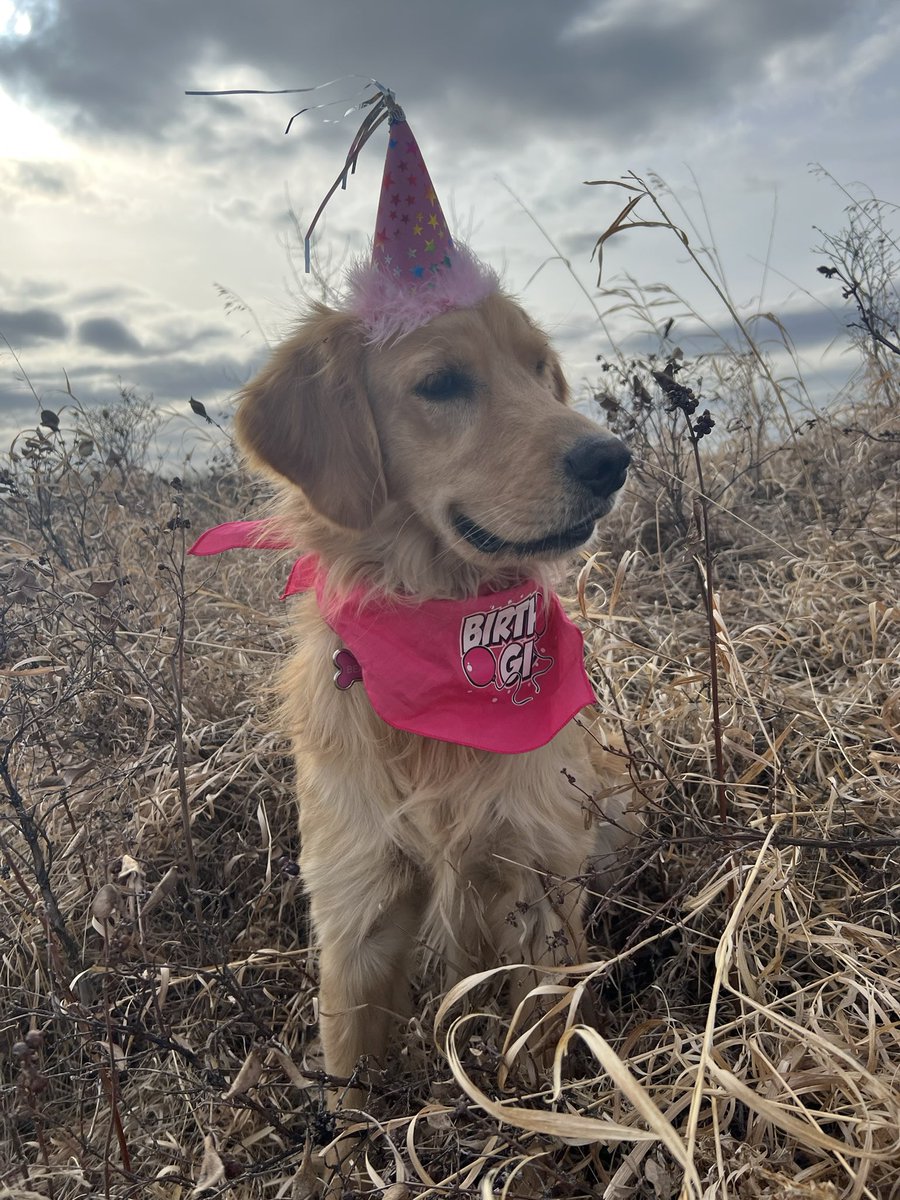 bunsenbernerbmd's tweet photo. It’s Beaker’s Birthday today!!!
Happy Second Birthday Beaks!!
#BeakerTurnsTwo 
#BeakersBirthday https://t.co/NfuuOXRJuw