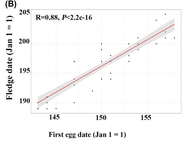 J. of Avian Biology (@avianbiology) on Twitter photo Research shows that first egg date, the number of nestmates, and age of parents were the main predictors of fledge date.
doi.org/10.1111/jav.02…
<a href="/WileyEcolEvol/">Wiley Ecology & Evolution</a> <a href="/NordicOikos/">Nordic Society Oikos</a> <a href="/Saeedeh_BA/">Saeedeh Bani Assadi</a> <a href="/KevinCFraser/">Kevin Fraser</a> <a href="/BirdBiologist/">Emily McKinnon</a> <a href="/echeskey/">Ted Cheskey</a>
#OpenAccess #ornithology #birds #avian
📷K. Fraser Research shows that first egg date, the number of nestmates, and age of parents were the main predictors of fledge date.
doi.org/10.1111/jav.02…
<a href="/WileyEcolEvol/">Wiley Ecology & Evolution</a> <a href="/NordicOikos/">Nordic Society Oikos</a> <a href="/Saeedeh_BA/">Saeedeh Bani Assadi</a> <a href="/KevinCFraser/">Kevin Fraser</a> <a href="/BirdBiologist/">Emily McKinnon</a> <a href="/echeskey/">Ted Cheskey</a>
#OpenAccess #ornithology #birds #avian
📷K. Fraser