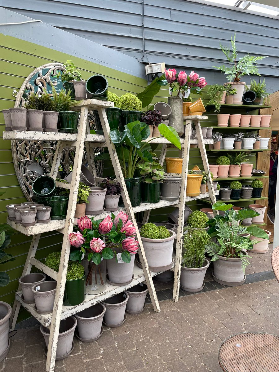 VanHage's tweet photo. 🌱National Gardening Day doesn't mean outside only! These fantastic pots from Bergs Potter can be used both inside and out - although extra care is recommended if using outside. 
Garden indoors and bring the outside in!
#plantpots #nationalgardeningday #gardening #vanhage https://t.co/uhz3aURCYa