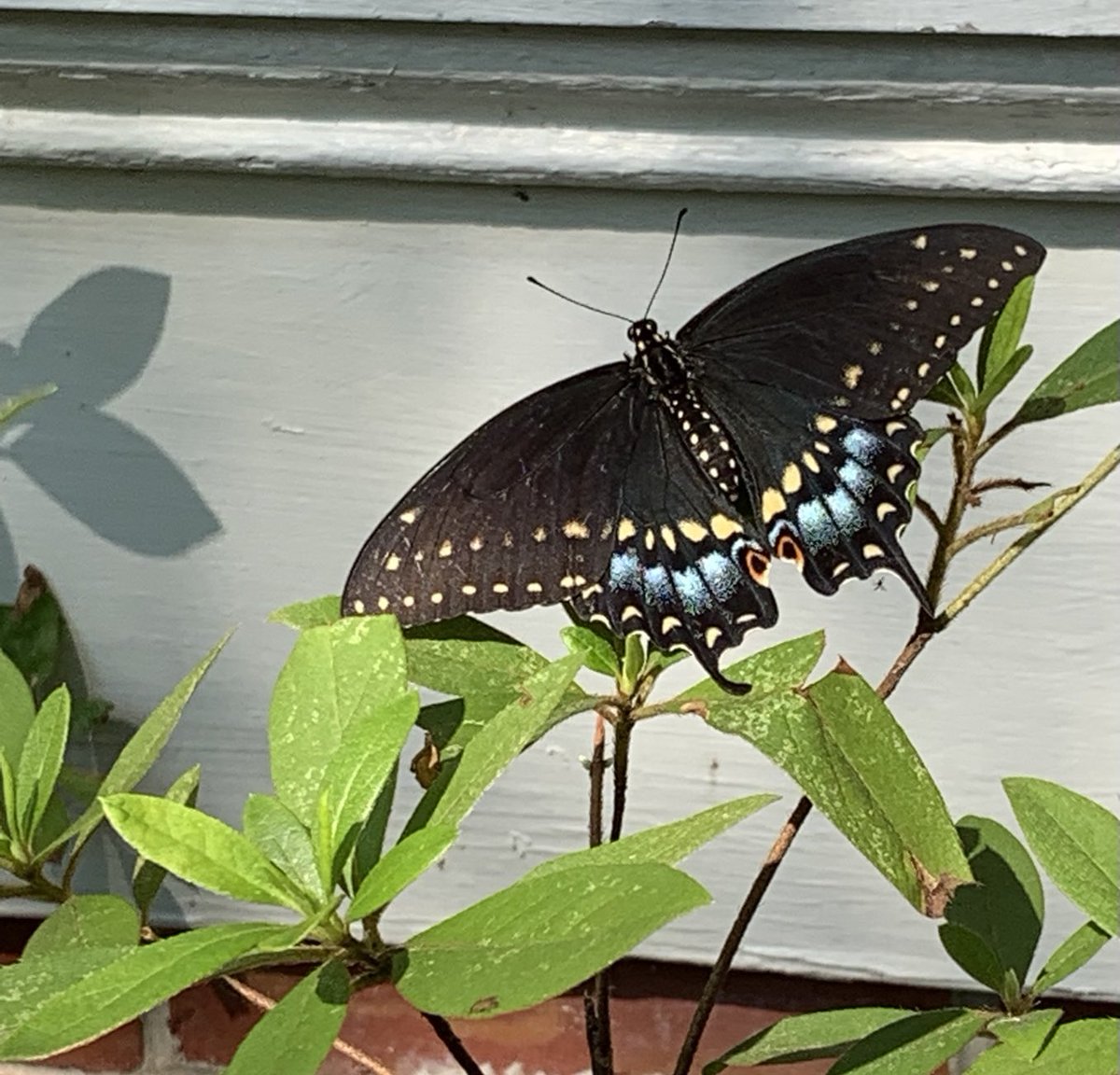 mimi626649396's tweet photo. #SolaceinNature https://t.co/C2DHDSGlQN