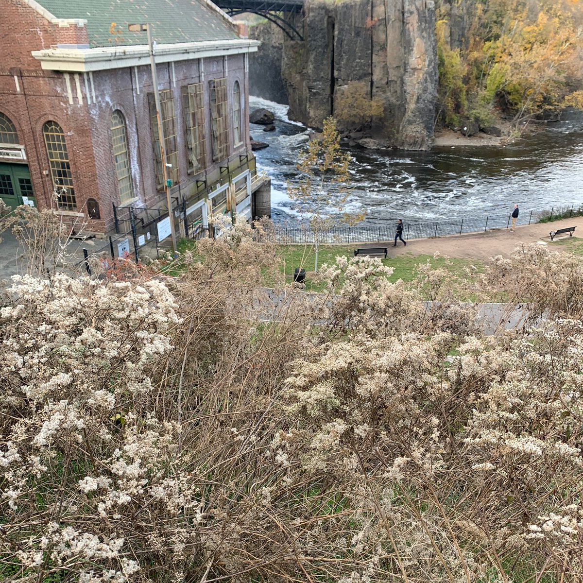 riggs_ward's tweet photo. Another day, another site visit! Some of our team has dispatched to Paterson Great Falls National Historical Park this week. 

#patersongreatfalls #patersonnj #paterson #sitevisit #wayfinding #wayfindingdesign #patersonnewjersey #nps #nationalparkservice https://t.co/gC95nGMOIt
