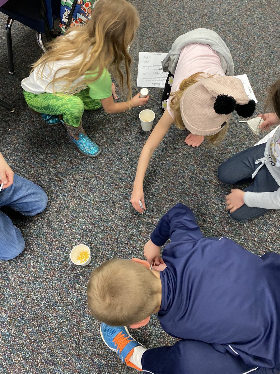 EmilyList7's tweet photo. A fun Mystery Science lesson learning about animal structures, “why do birds have beaks?” 🐦🦆 @USD449 https://t.co/X059yj0BNu