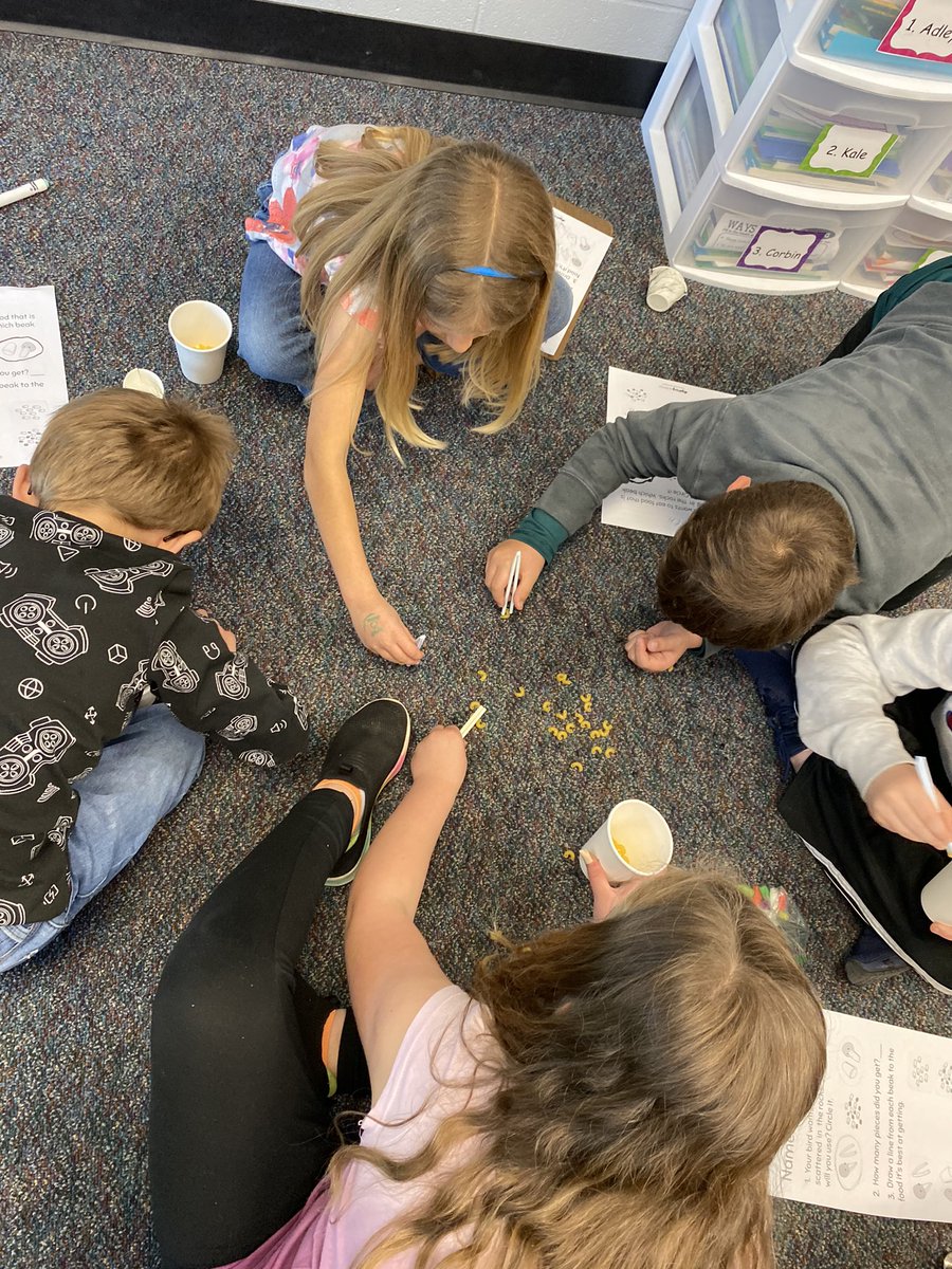 EmilyList7's tweet photo. A fun Mystery Science lesson learning about animal structures, “why do birds have beaks?” 🐦🦆 @USD449 https://t.co/X059yj0BNu
