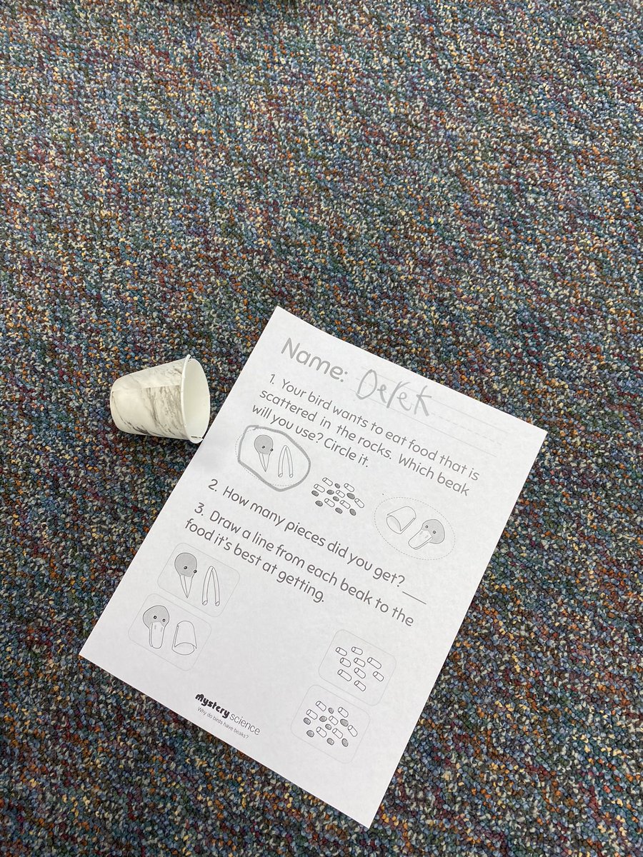 EmilyList7's tweet photo. A fun Mystery Science lesson learning about animal structures, “why do birds have beaks?” 🐦🦆 @USD449 https://t.co/X059yj0BNu