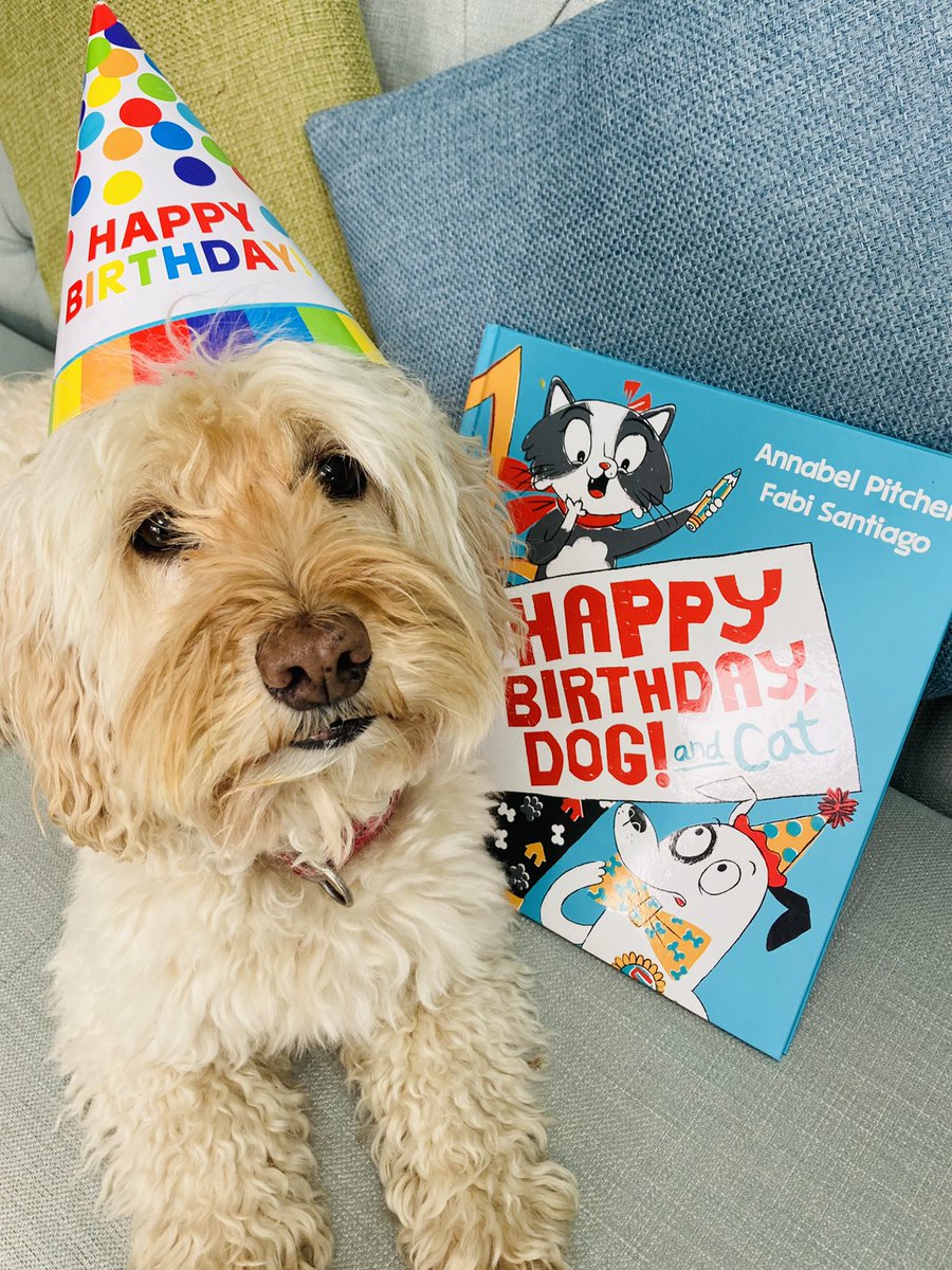 APitcherAuthor's tweet image. Happy birthday, book! My very first picture book, HAPPY BIRTHDAY, DOG! is out today! 🥳 Here is is with my fur baby, Inca 🐶❤️🐶 OUT NOW 👉👉👉 waterstones.com/book/happy-bir…