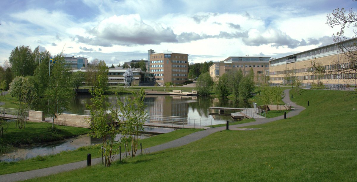 UmeaIKFF's tweet photo. I samarbete med Idrottshögskolan och Institutionen för Kost- och Måltidsvetenskap vid Umeå universitet lär sig våra tjejer att laga bra och god mat för elitidrottare.
@umeauniversitet 

#uik360 #kost #umeåik #idrottshögskolanumeå #umeå #uik https://t.co/ZxsrOu0M0j