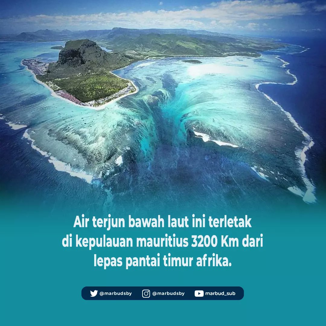 Marine Buddies Sby tweet media