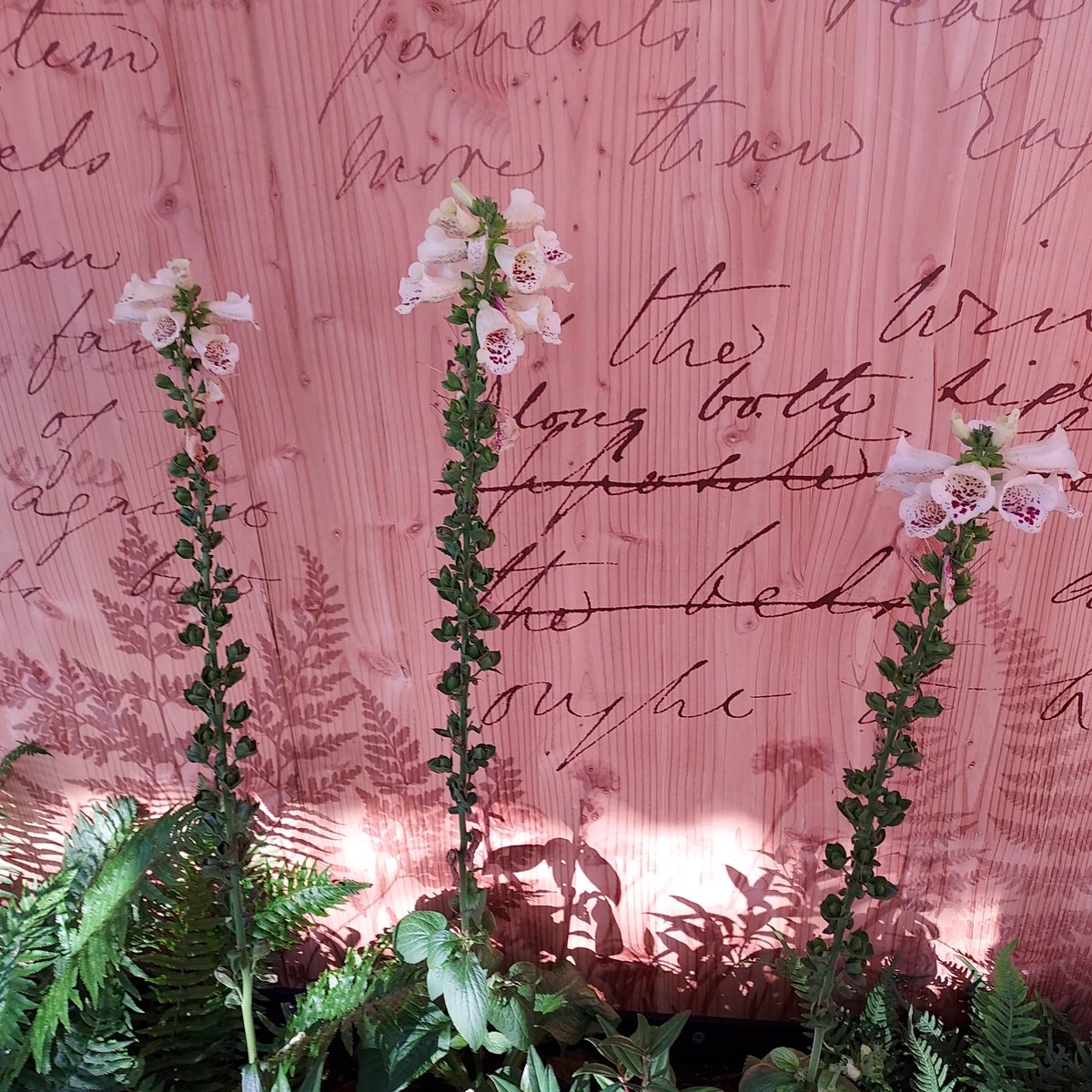 Florence Nightingale’s London tweet media