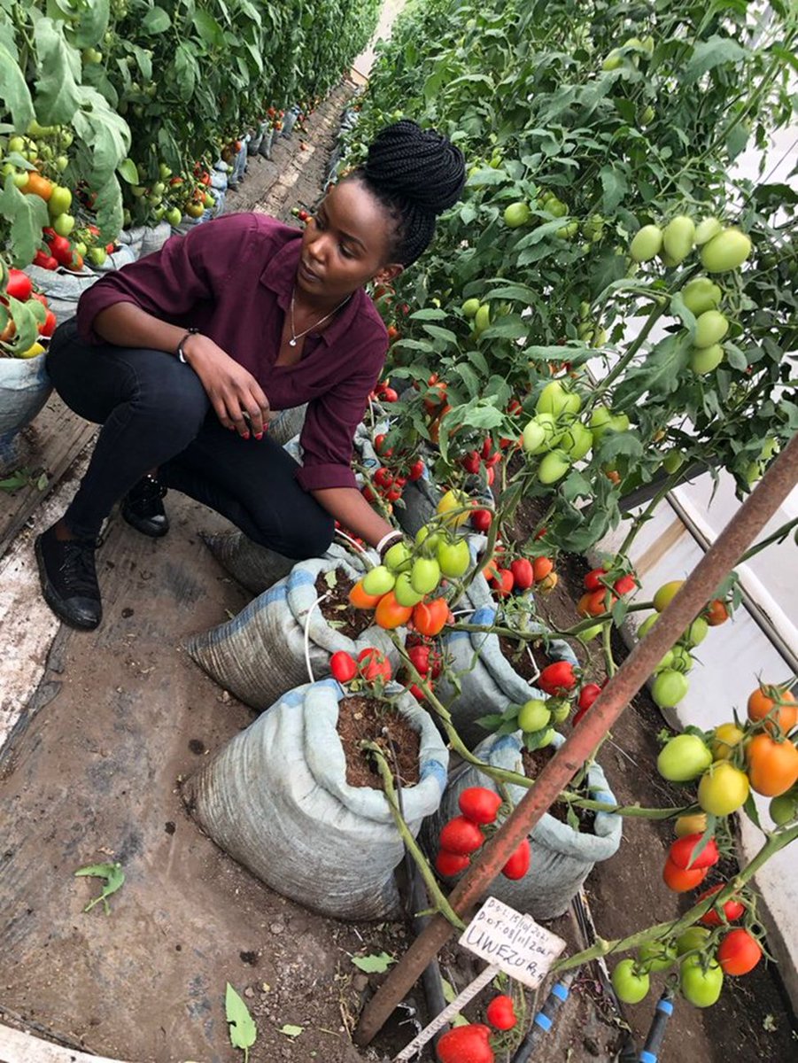 Agriculture is a lucrative sector for smart and clean farmers!
Agree or Disagree?