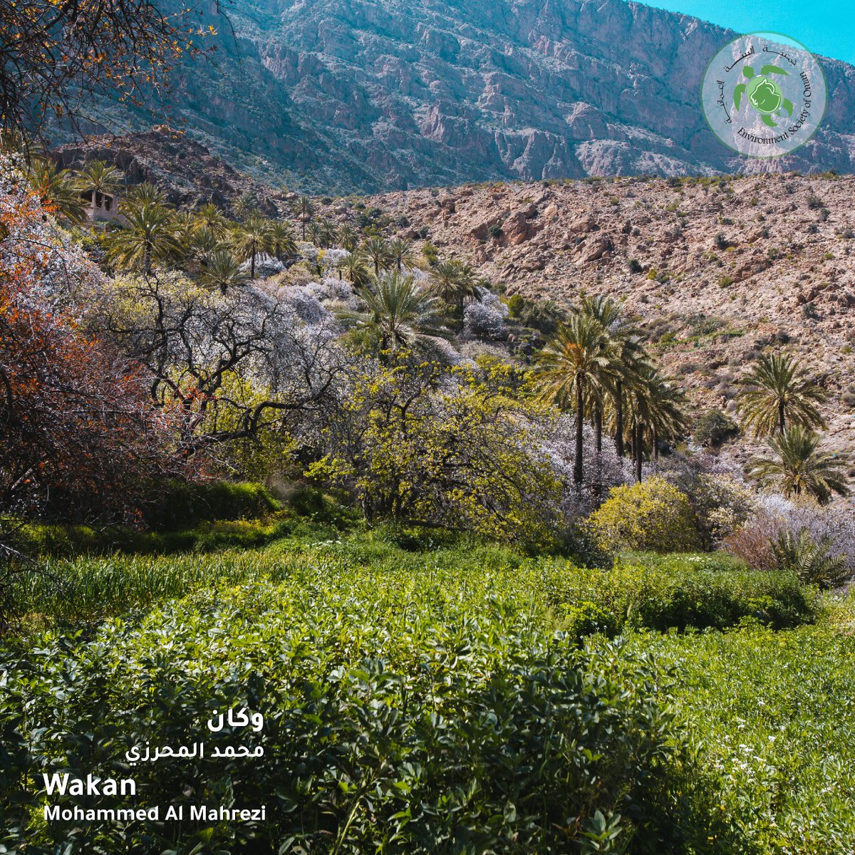eso_oman_'s tweet photo. Today we celebrate the beautiful work of Mohammed Al Mahrezi, an Omani visual artist and photographer. Thank you for supporting ESO’s 2021 Annual Report. #supporteso https://t.co/WBahn9GFzc