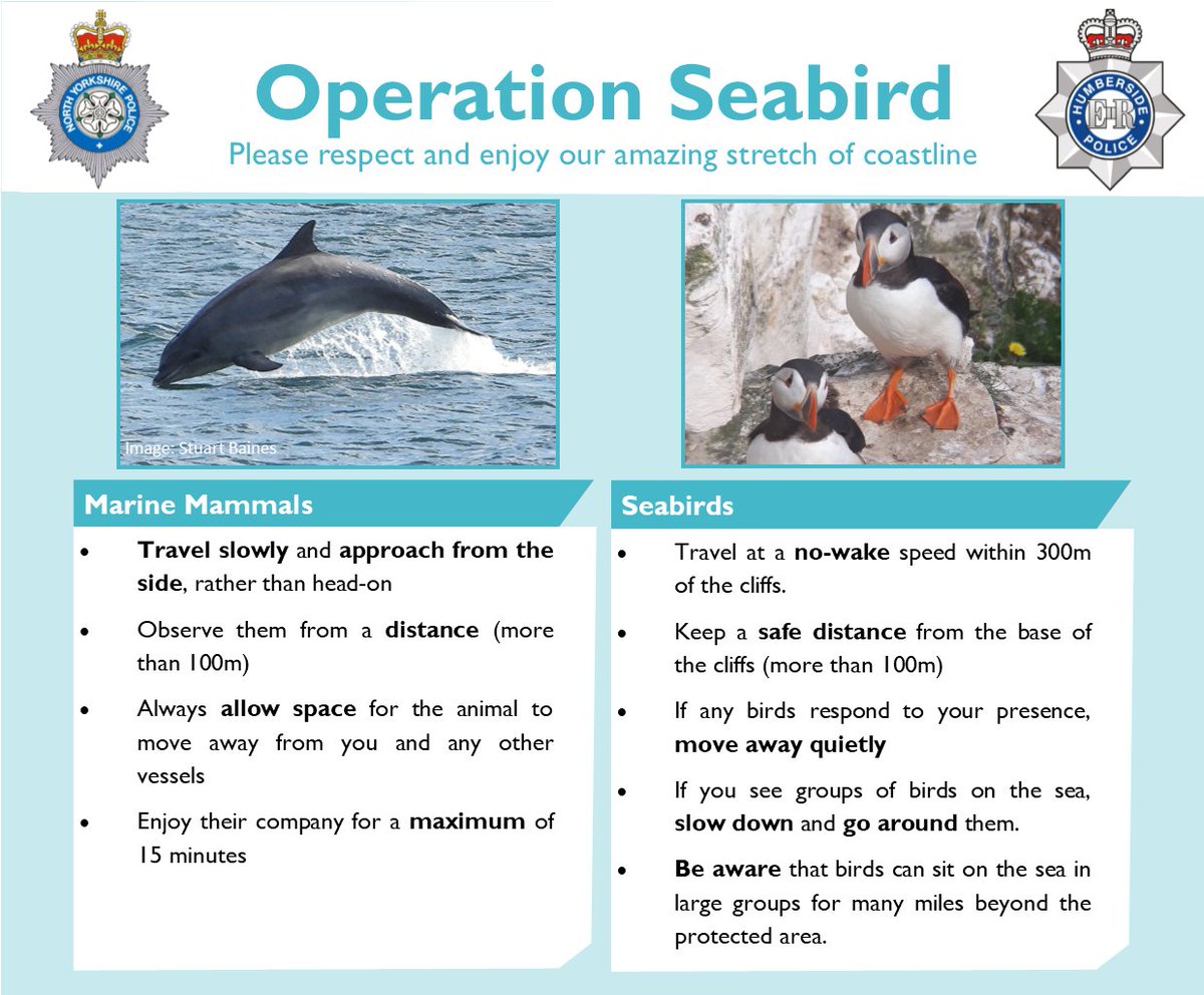 As we get ready for the #Easter weekend, make sure you're leaving space for wildlife and enjoying the fabulous #YorkshireCoast safely 👍 #OpSeabird #Wildlife #Marine #Coastal @Humberbeat_RTF @Bempton_Cliffs @NYorksPolice @The_MMO @YWTLivingSeas