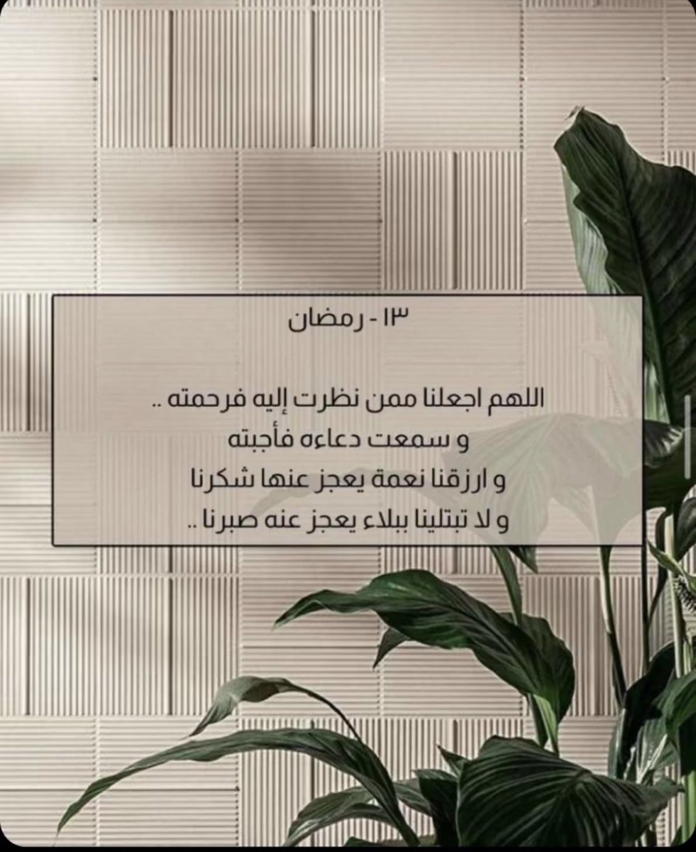 arwasameer's tweet photo. https://t.co/KloMoxRtdF
