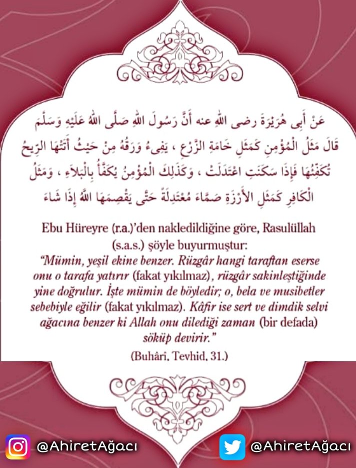 • #HadisGünü | <a href="/ahiretagaci/">Ahiret Ağacı</a> 🌳

• Bizi takip ederek destek olabilirsiniz. 🙂🤲🕌

#ayet #hadis #sünnet #allah #peygamber #muhammad #muhammed #peygamberefendimizinsünneti #salavat #kuran #kuranıkerim #din #dinisözler #kelam #huzur #namaz #oruç #zekat #şükür #dinibilgiler