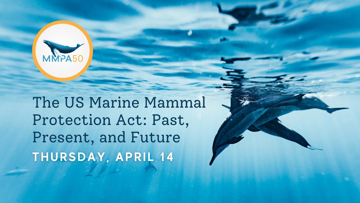Today is the day! Join us at 1pm EST to learn about the past, present, and future of the MMPA from policy and #marinemammal experts. There's still time to register for this FREE webinar: us02web.zoom.us/webinar/regist……
#MMPA50 #WildlifeConservation