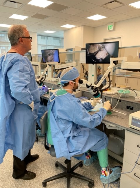 Cochlear Americas Cochlearus Twitter