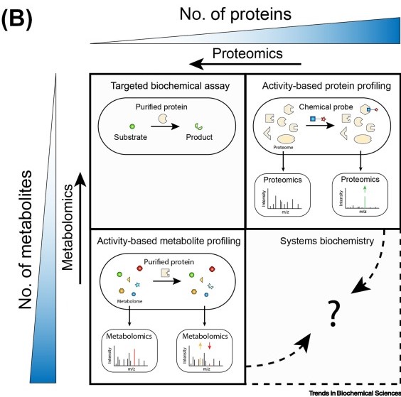 TrendsBiochem's tweet photo. Online now - a Review from @rheelab @Robert_S_Jansen and Christoph Grundner @seattlechildren titled "Activity-based annotation: the emergence of systems biochemistry". 

#PUFs #metaboliteprofiling #ABMP #proteinprofiling #ABPP

https://t.co/XKQY2dow32 https://t.co/JNoxf3UOQY