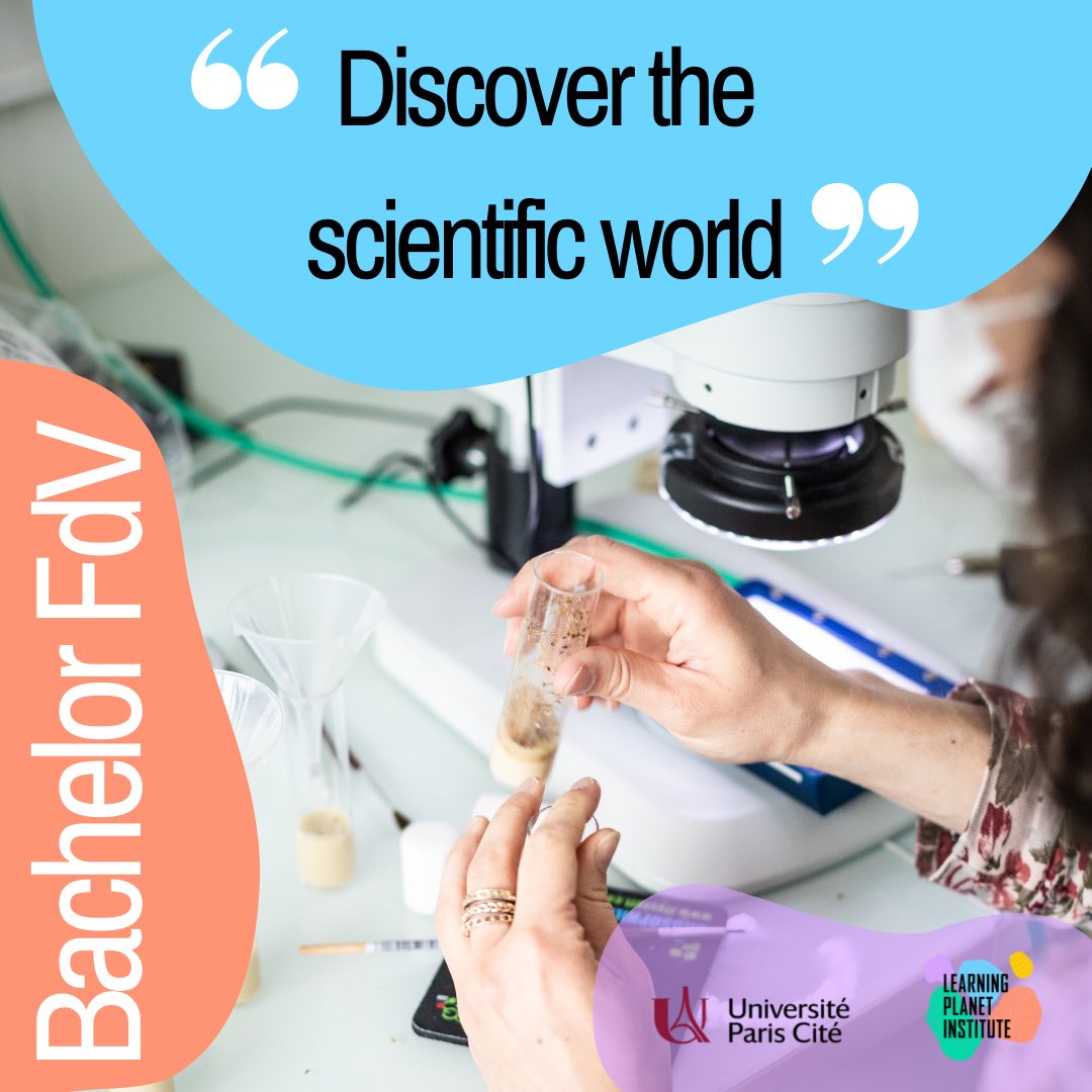 Licence FdV tweet media