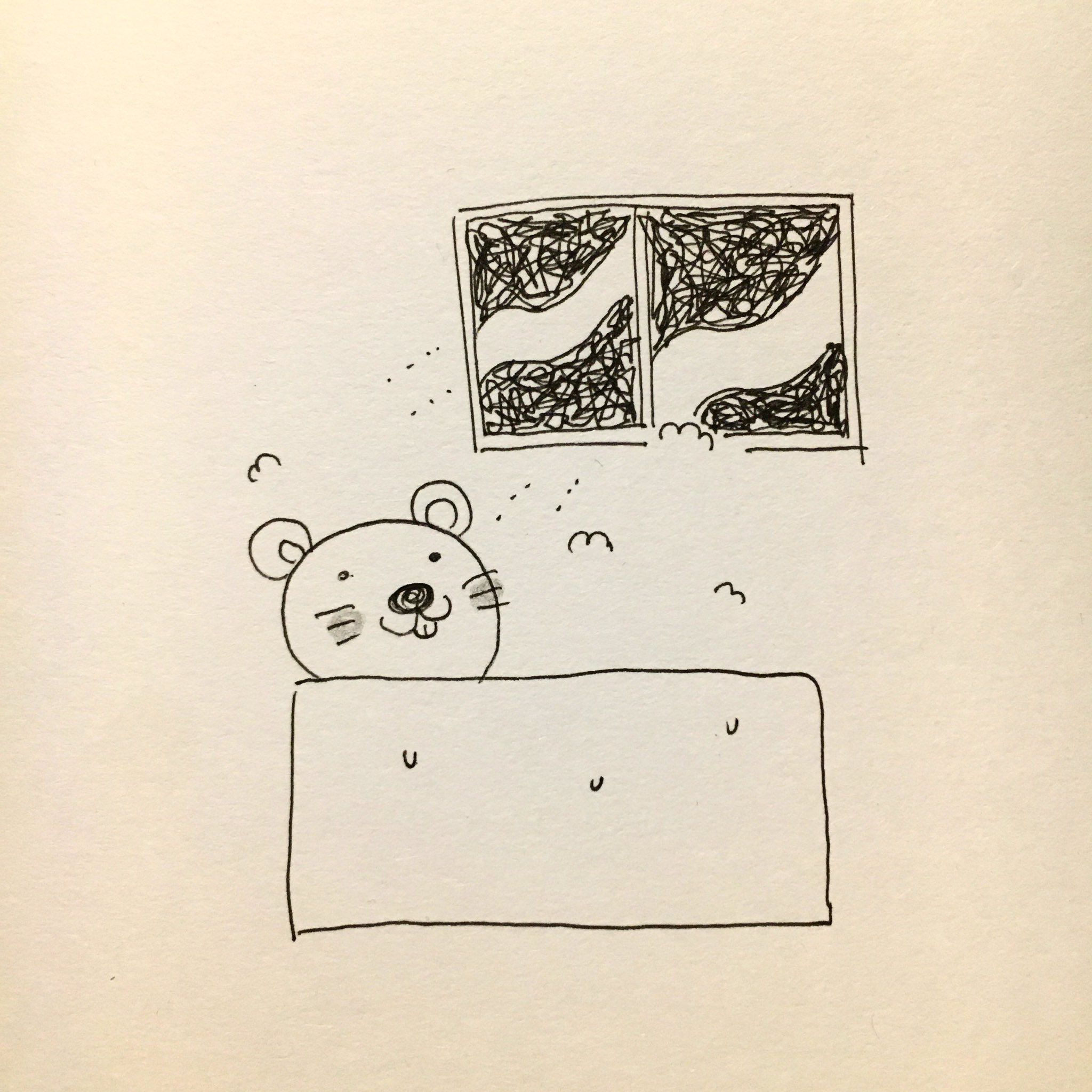 P2v36qb9pydqwm