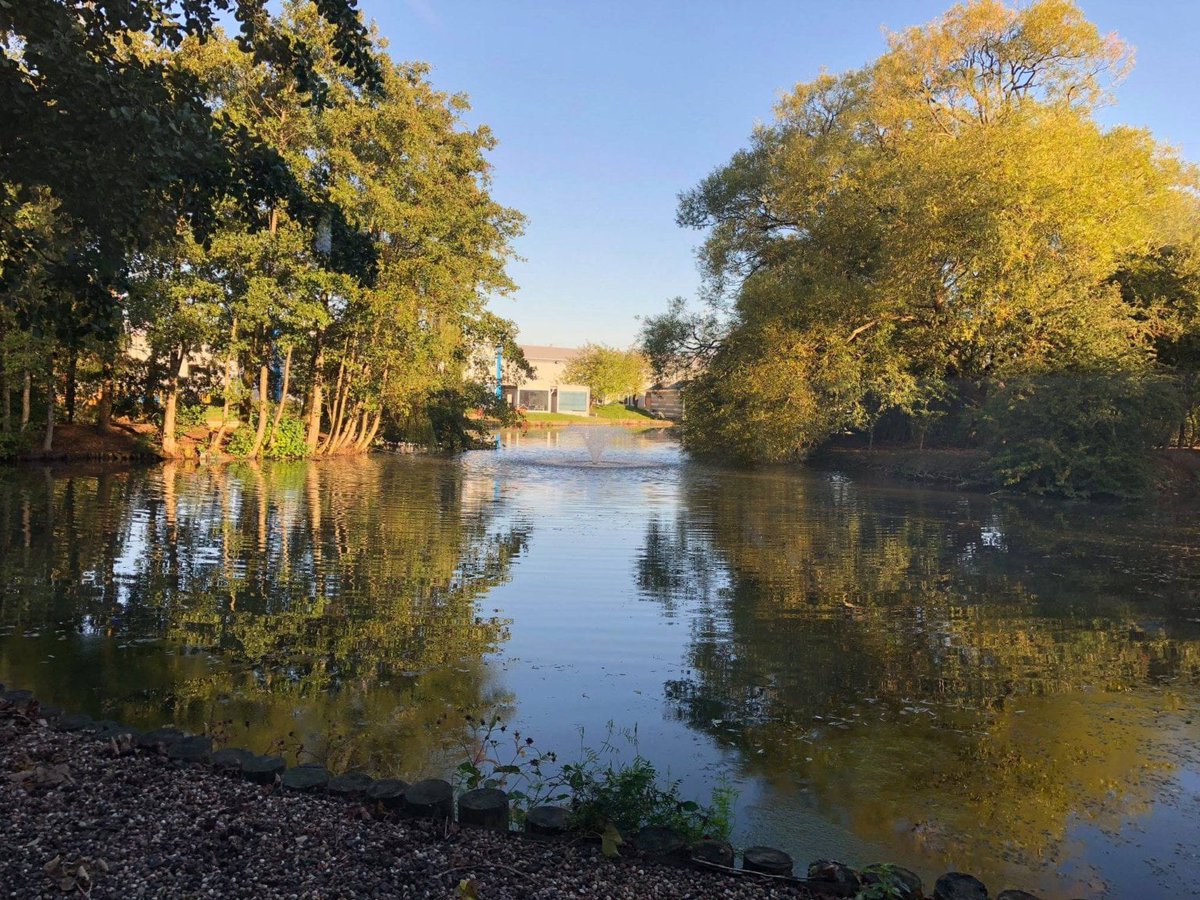 Resource tweet media