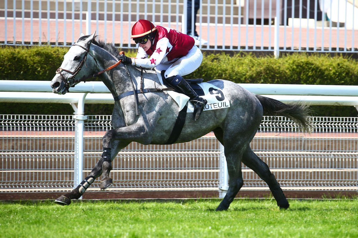 Jour de Galop tweet media