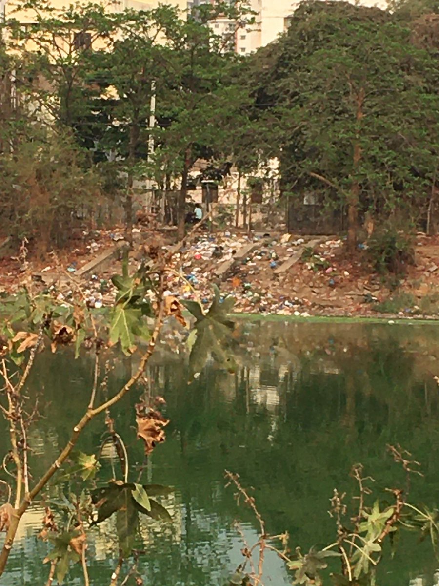 sselvan's tweet photo. Condition of Yerrakunta lake, Maruthi Nagar, Shaikpet 

Suffering a lot due to suffocating foul smell in the early morning

#CancerInDiningTable #SaveLakes #WaterPollution

Requesting @SELakesGHMC @GadwalvijayaTRS @GHMCOnline @ZC_SLP @DC_Serilingmply @arvindkumar_ias @KTRTRS https://t.co/U54DVOMSUL