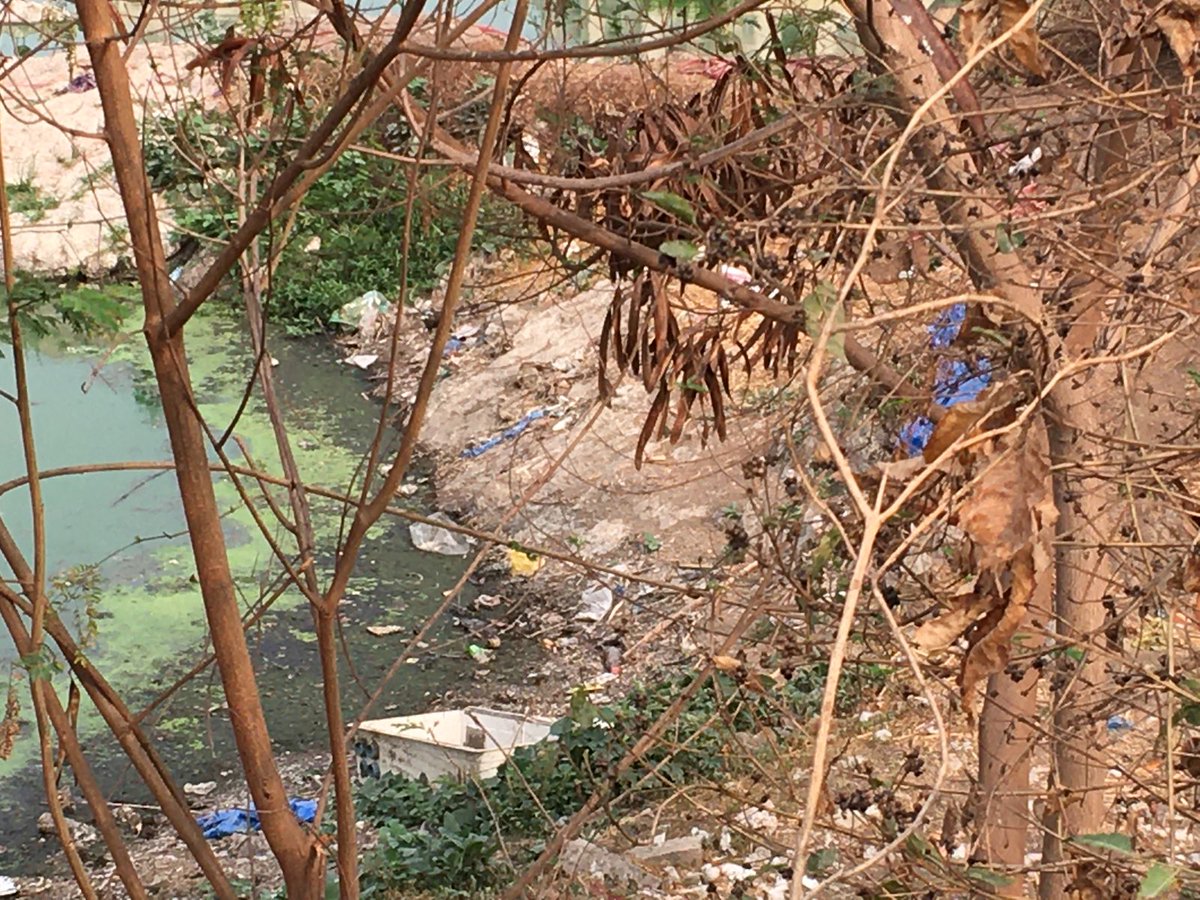sselvan's tweet photo. Condition of Yerrakunta lake, Maruthi Nagar, Shaikpet 

Suffering a lot due to suffocating foul smell in the early morning

#CancerInDiningTable #SaveLakes #WaterPollution

Requesting @SELakesGHMC @GadwalvijayaTRS @GHMCOnline @ZC_SLP @DC_Serilingmply @arvindkumar_ias @KTRTRS https://t.co/U54DVOMSUL