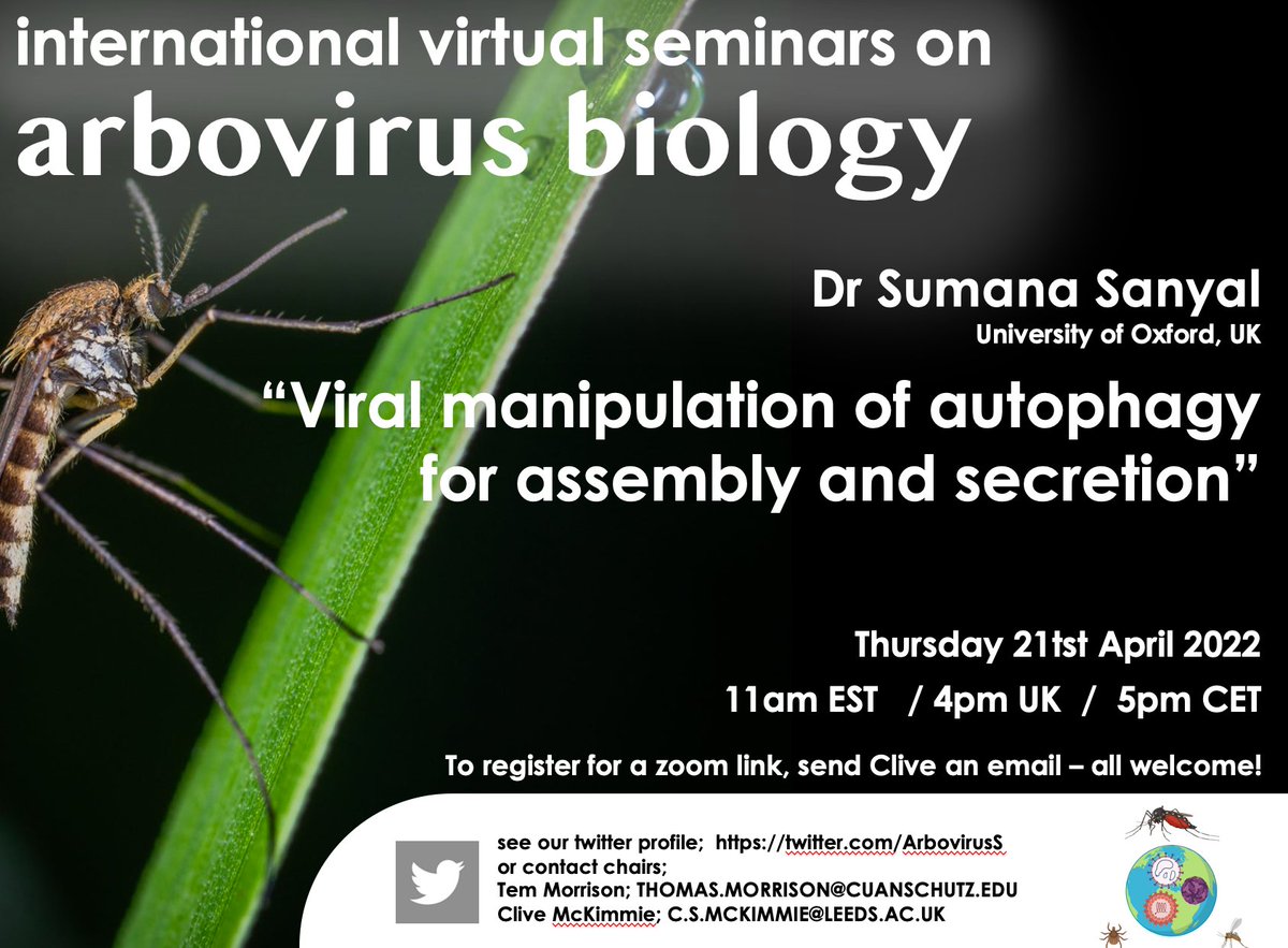 Arbovirus Seminars (@arboviruss) on Twitter photo Excited to announce our seminar next week features Dr Sumana Sanyal of <a href="/UniofOxford/">University of Oxford</a> who has led the way in defining mechanisms of #flavivirus biogenesis, using #Zika and #Dengue as models, and their strategies of evading host #immune responses. Please help with a RT! Excited to announce our seminar next week features Dr Sumana Sanyal of <a href="/UniofOxford/">University of Oxford</a> who has led the way in defining mechanisms of #flavivirus biogenesis, using #Zika and #Dengue as models, and their strategies of evading host #immune responses. Please help with a RT!