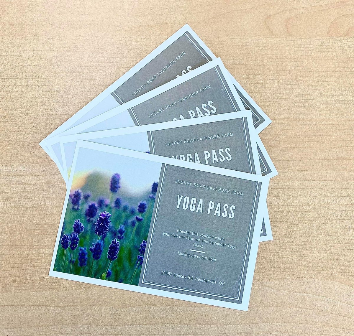 thayerhonda's tweet photo. Any fans of goat yoga?! 🐐 We’ll have FOUR sessions at Luckey Road Lavender Farm up for grabs at the prize table during Ladies Night. Along with prizes from GardenView Flowers, State Bank BG + freebies from @BuffCitySoap! 🤩 join us on May 13th! #Spring #LadiesNight #GoatYoga https://t.co/EUMfHoMjI8