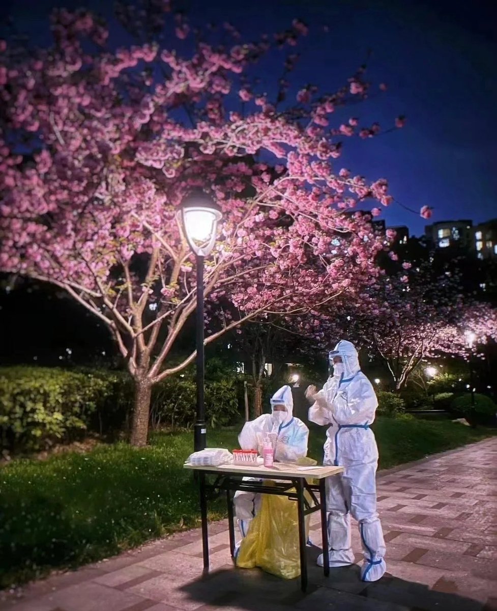 这(@zhe61788623)  X