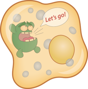 NatureRevMicro's tweet photo. Microbial strategist of metastasis

https://t.co/hrCNWLjHLL

A recent study shows how tumour-resident intracellular bacteria enhance survival and the metastatic capacities of circulating tumour cells by protecting them from mechanical stress. https://t.co/WRXbMJq1XZ