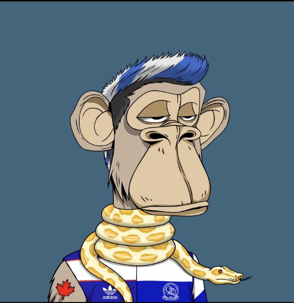 marcbircham's tweet photo. Absolutely fantastic, buzzing to be part of the @BoredApe_FC team πππ»ππ»ππ» https://t.co/Z4YVUD6mLB