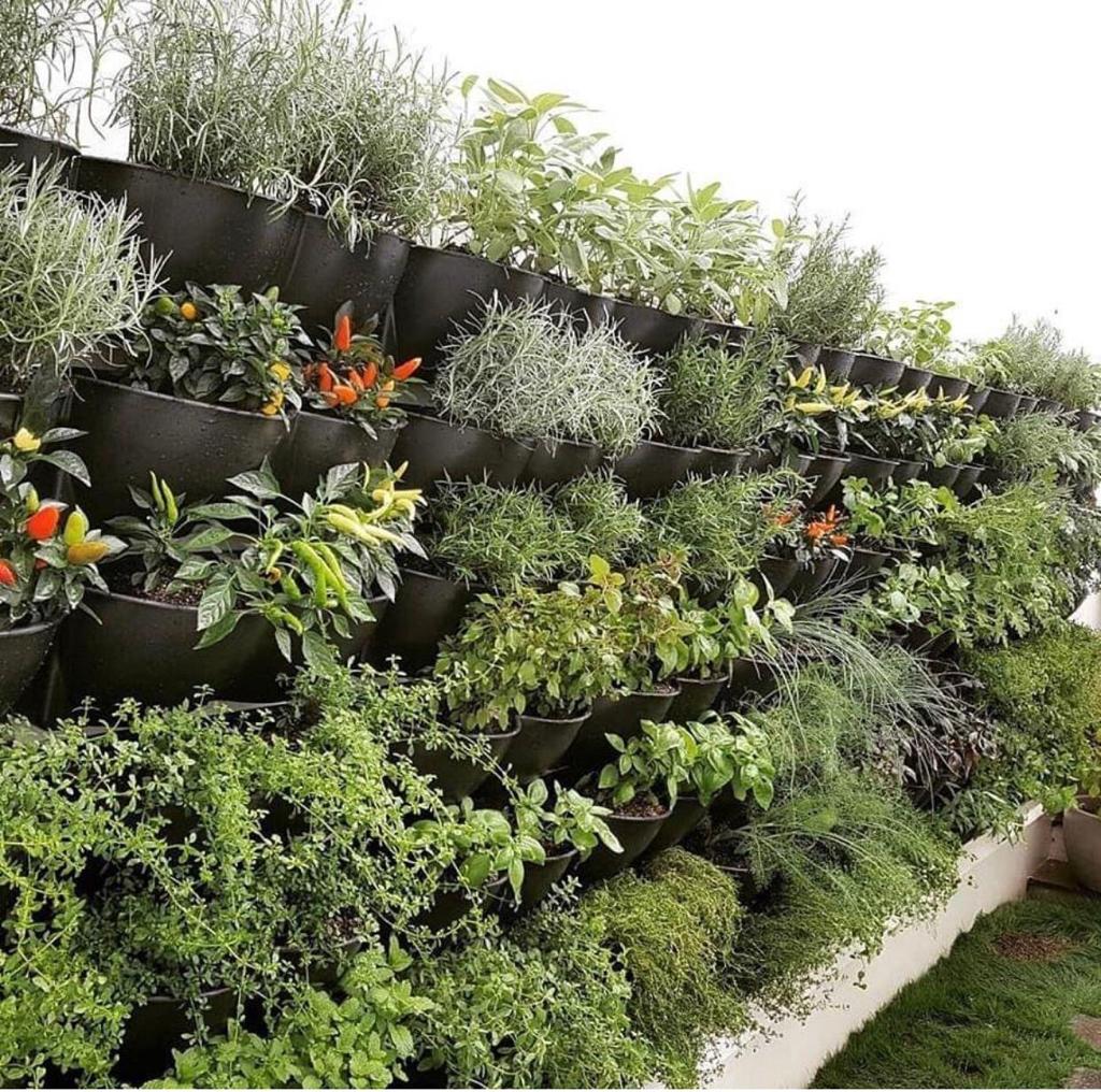 ECOTELHADO's tweet photo. Confira as últimas notícias da Ecotelhado 🌿📩 - https://t.co/x6BtY3Bqux https://t.co/ZpEzWMZpAO